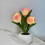 Potted Tulip LED Lights