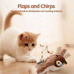 The Bird That'll Make Your Kitty Go Batty!