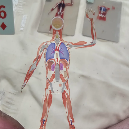 3D body slices poker
