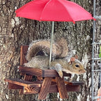 Cute Squirrel Resort With Sun Umbrella