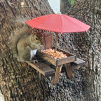 Cute Squirrel Resort With Sun Umbrella