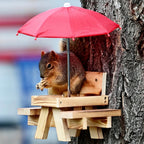 Cute Squirrel Resort With Sun Umbrella