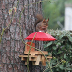 Cute Squirrel Resort With Sun Umbrella