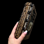 Dragon Book Box - Dice Roller - Dice/Card Storage