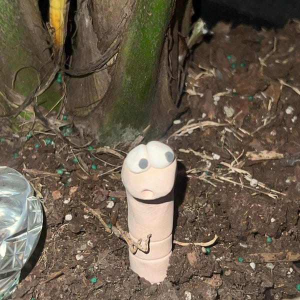 Thirsty Worm moisture monitor for your potted plant
