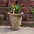 Thirsty Worm moisture monitor for your potted plant