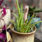 Thirsty Worm moisture monitor for your potted plant