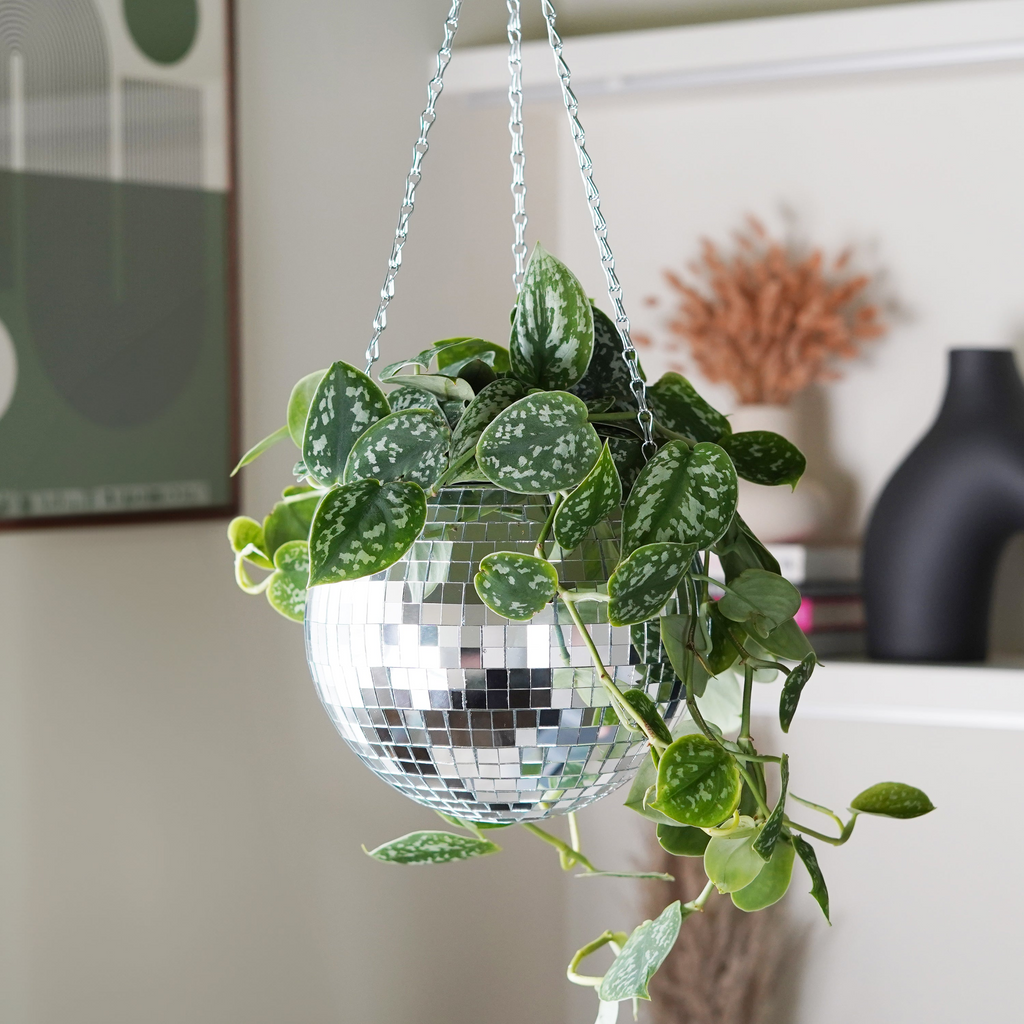 Hanging Disco Ball Planter or Utensil Holder