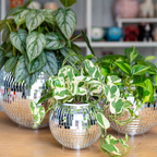 Hanging Disco Ball Planter or Utensil Holder