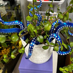 House Plant Accessories Decor - Set of 8 Sea monster Tentacles