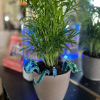 House Plant Accessories Decor - Set of 8 Sea monster Tentacles