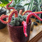 House Plant Accessories Decor - Set of 8 Sea monster Tentacles