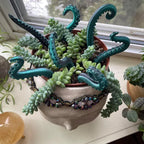 House Plant Accessories Decor - Set of 8 Sea monster Tentacles
