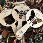 Nature art frames x3, Butterfly, Bee, Ladybird, Montessori