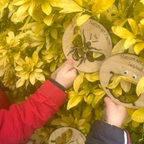 Nature art frames x3, Butterfly, Bee, Ladybird, Montessori