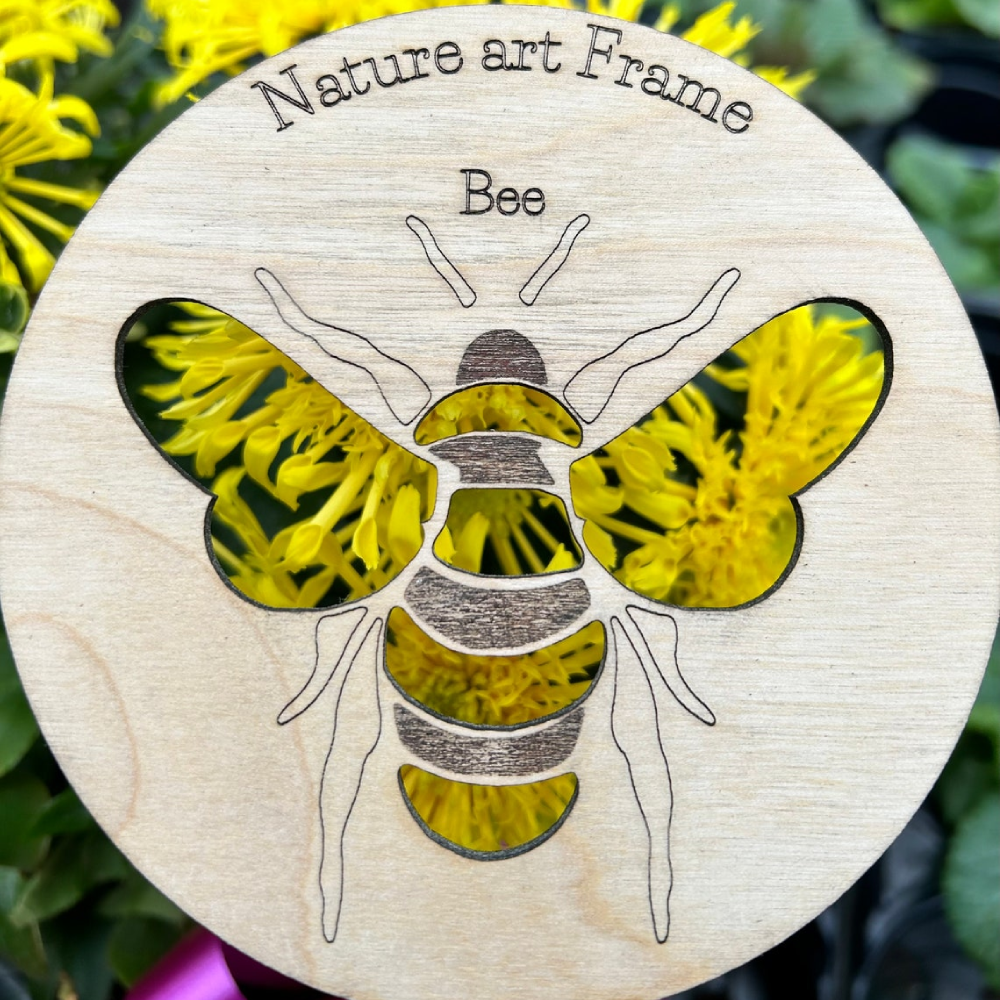 Nature art frames x3, Butterfly, Bee, Ladybird, Montessori