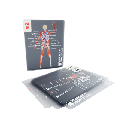 3D body slices poker