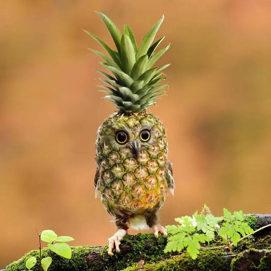 The Pineapple Owl: The Most Whimsical Fusion of Nature’s Oddest Duo!