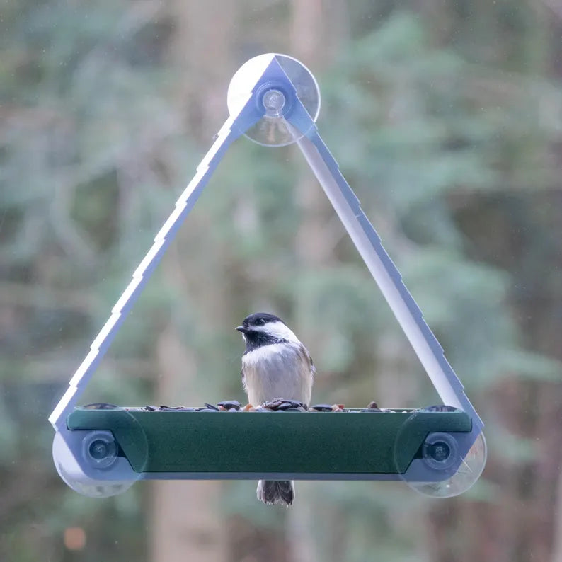 Window Bird Feeder