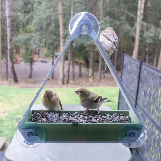 Window Bird Feeder