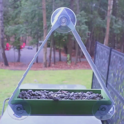 Window Bird Feeder