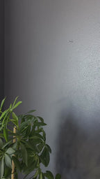 Record Store Retro Wall Light